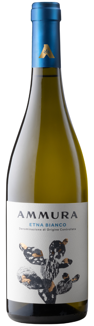 AMMURA ETNA BIANCO TOMMASI CARRICANTE