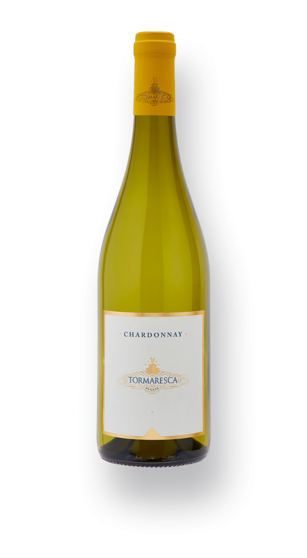 CHARDONNAY TORMARESCA V25