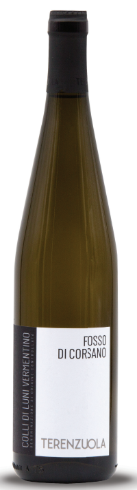 COLLI DI LUNI FOSSO DI CORSANO TERENZUOLA VERMENTINO