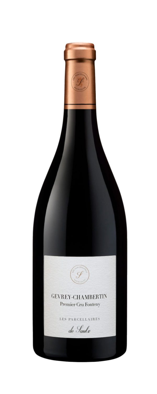 GEVREY CHAMBERTIN 1ER CRU FONTENY LES PARCELLAIRES DE SAULX V19