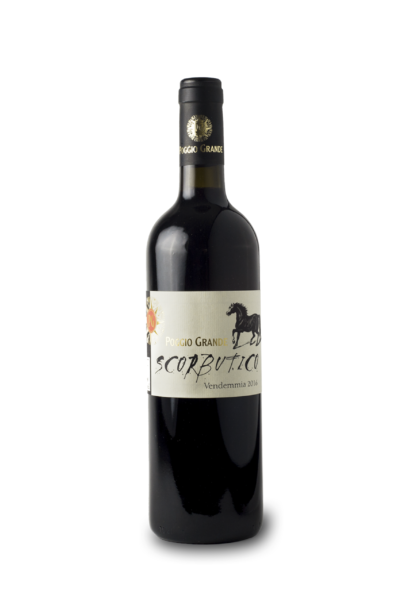 Scorbutico-1-401×600