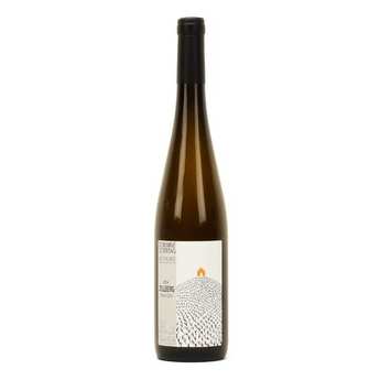 Pinot_Gris_Zellberg.jpg