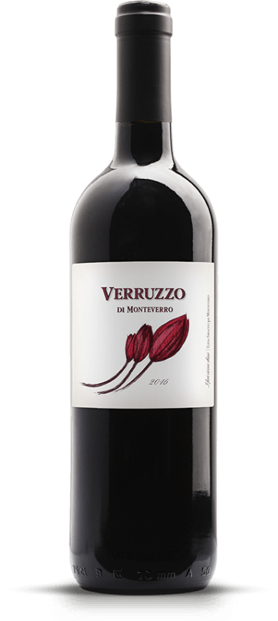 VERRUZZO1.jpg