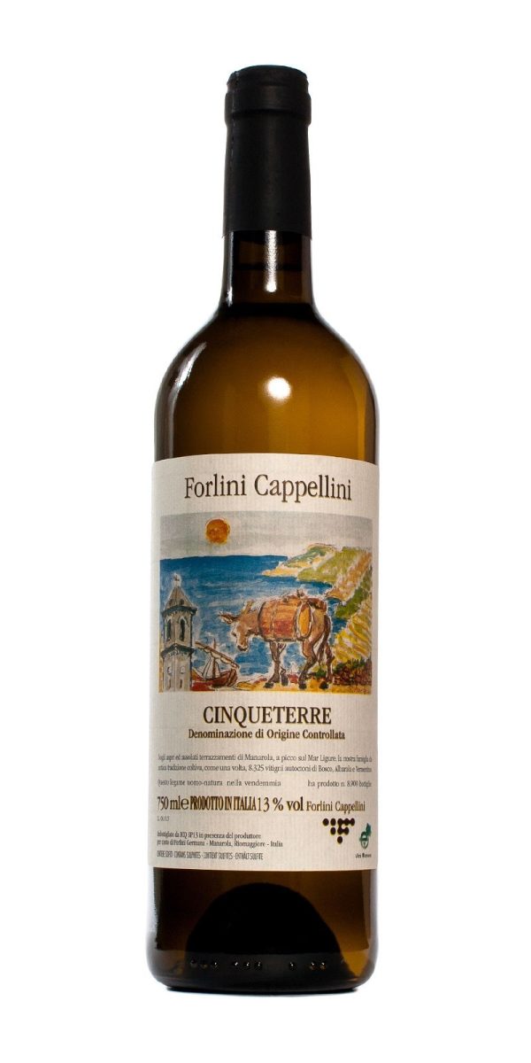 CINQUETERRE FORLINI CAPPELLINI V22