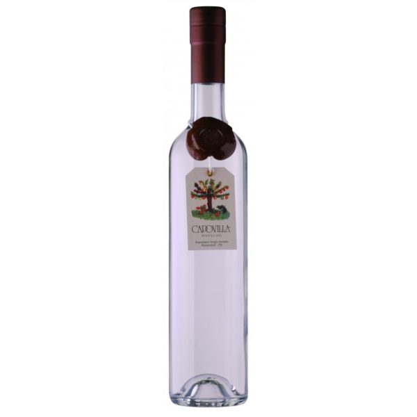 CAPOVILLA GRAPPA DI BRUNELLO LT 0.5