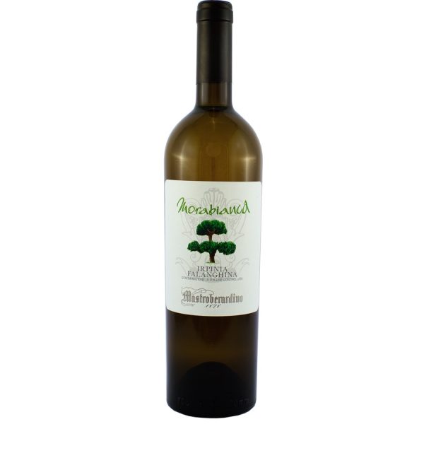 FALANGHINA IRPINIA MORABIANCA MASTROBERARDINO V20